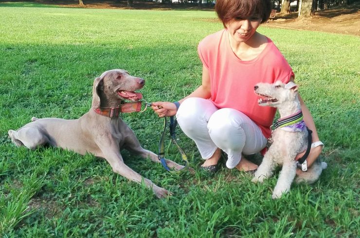 ドッグトレーナー紹介